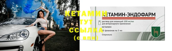 стаф Бородино