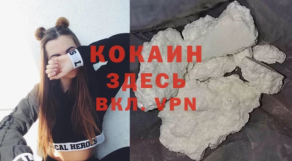 стаф Бородино