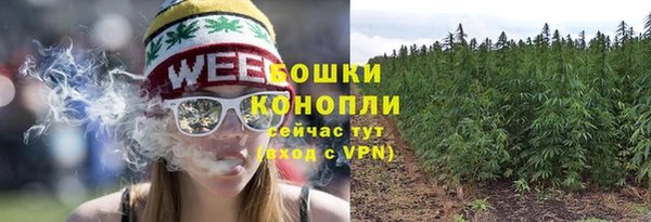 ECSTASY Бронницы